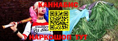 прущие крисы Кингисепп