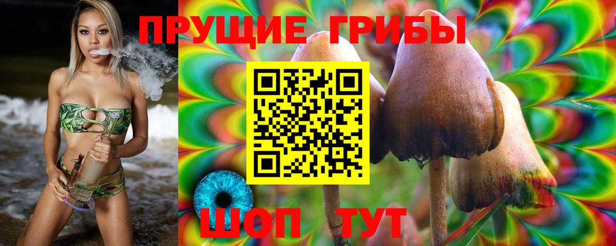 Галлюциногенные грибы Psilocybe  Псилоцибиновые грибы MAGIC MUSHROOMS  Великий Устюг  Вход с VPN 